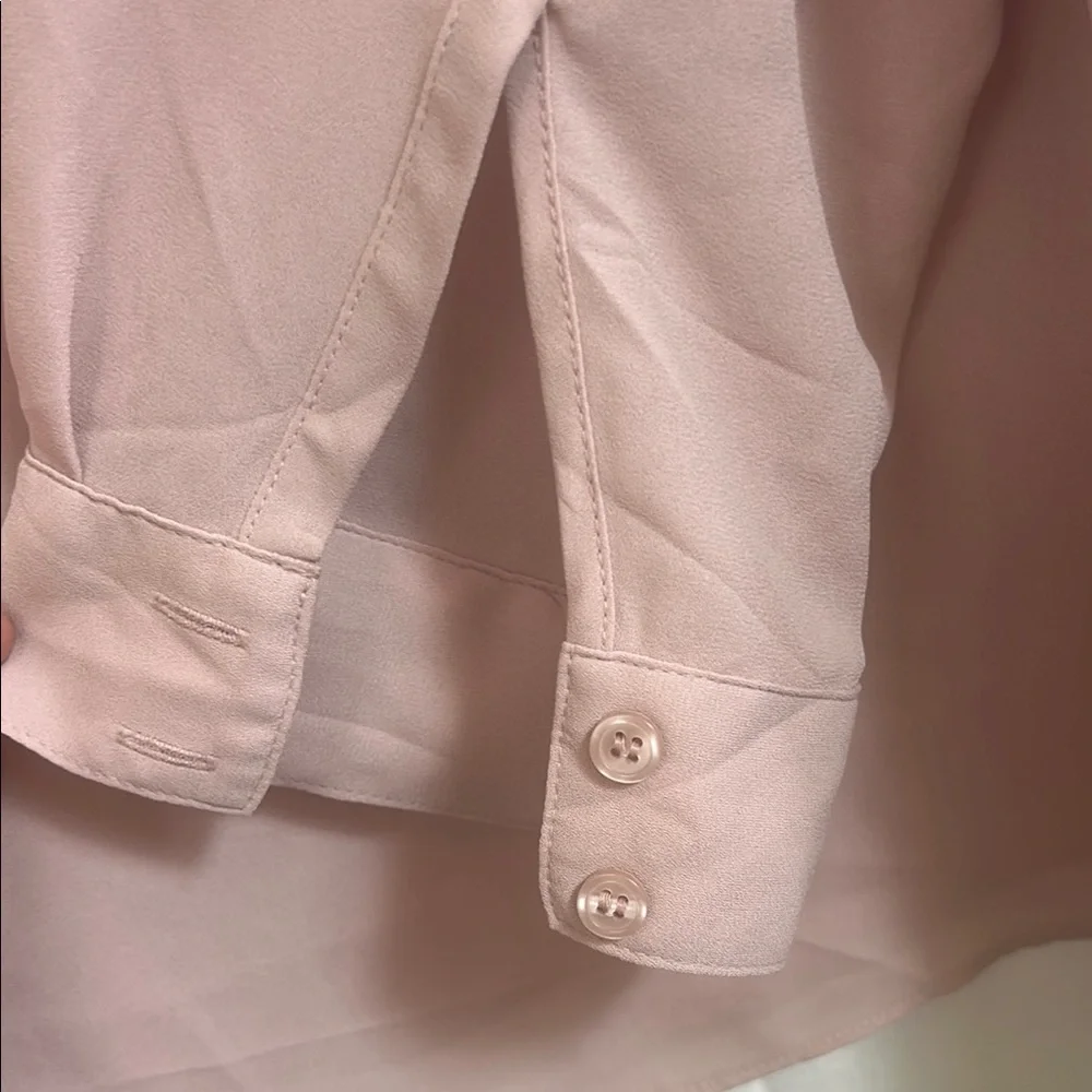 Pale Pink Sheer Women's Top by Lane Bryant - Picture 9 of 11